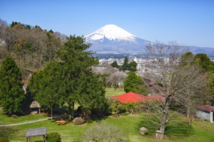 東山荘より富士を望む