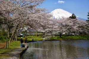 春の東山湖湖畔