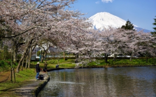 春の東山湖湖畔