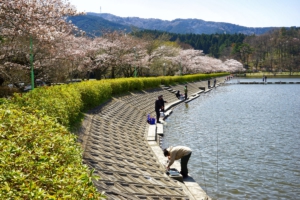 春の東山湖湖畔