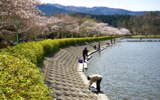 春の東山湖湖畔